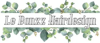 Lebonzz Hair Design Logo